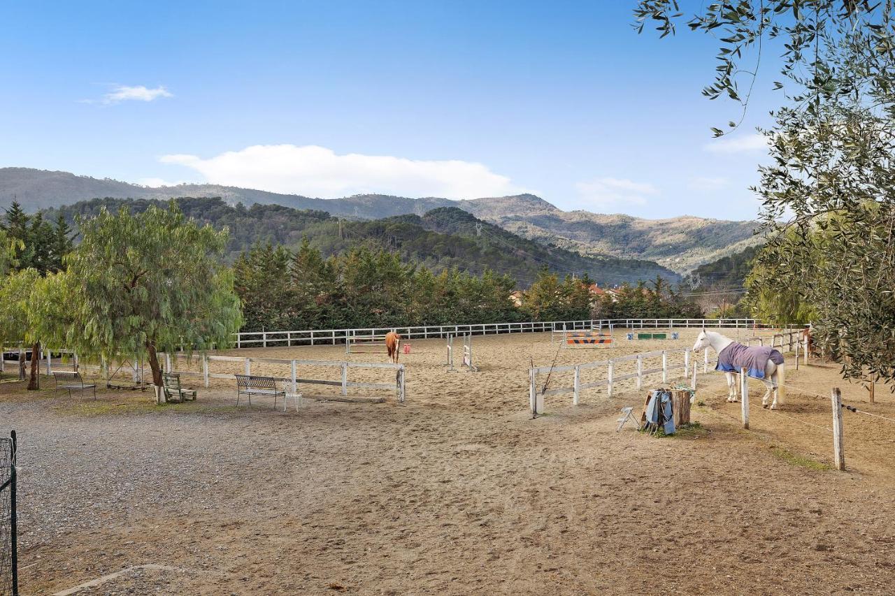 Messalina Agriturismo La Scuderia Molino Nuovo  Exteriör bild
